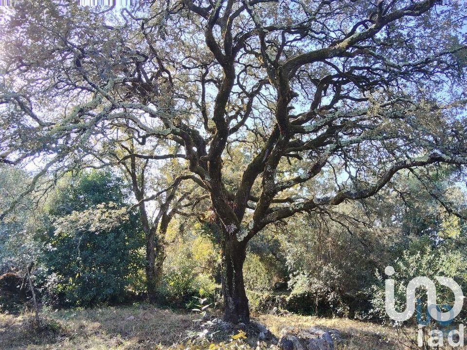 Byhus i Ansiao, Leiria - foto 3