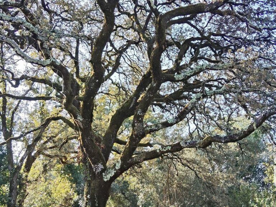 Byhus i Ansiao, Leiria - foto 4