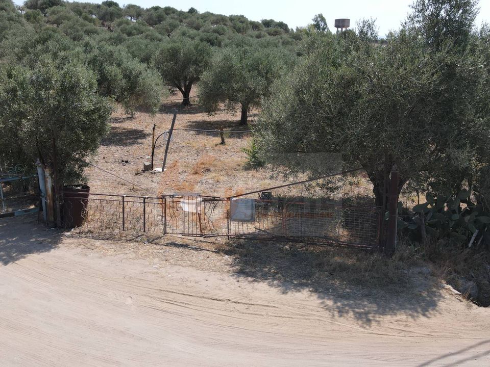 Helårsgrund i Monastir, Sud Sardegna - foto 3