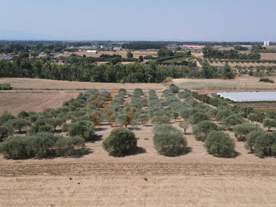 Helårsgrund i Monastir, Sud Sardegna - foto 4
