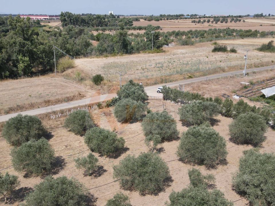 Helårsgrund i Monastir, Sud Sardegna - foto 5