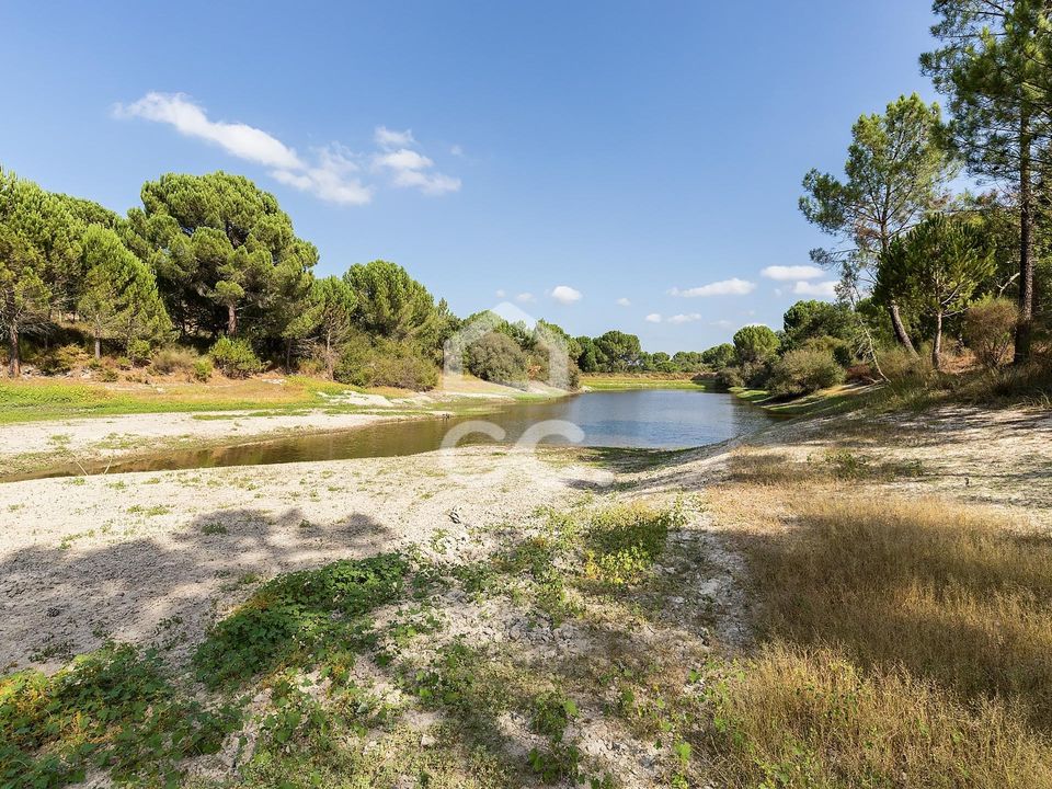 Farm i Mora, Evora - foto 3