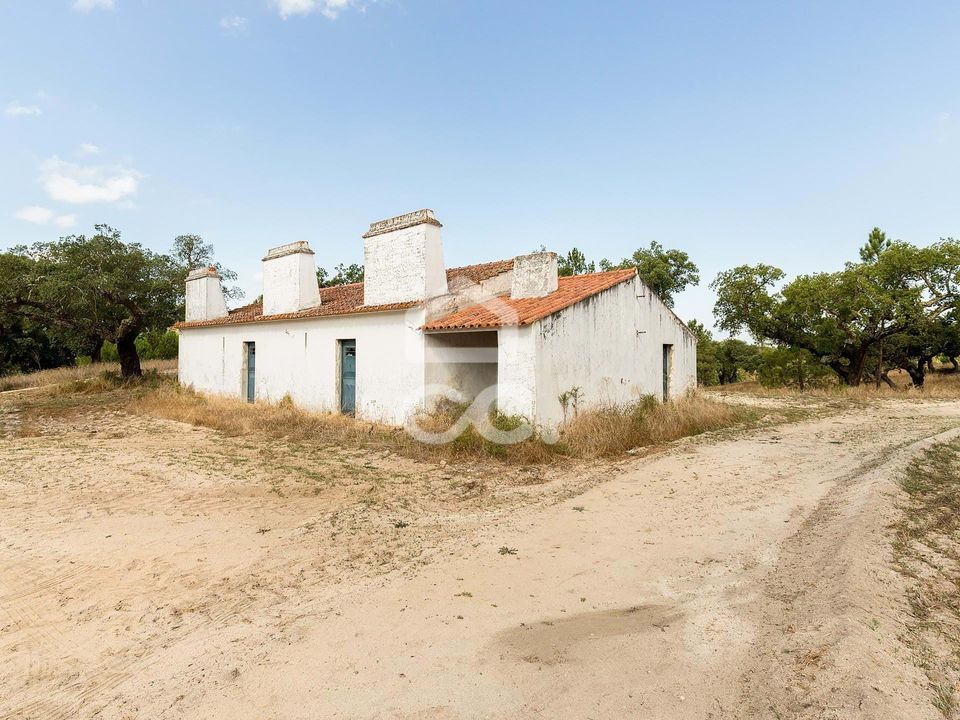 Farm i Mora, Evora - foto 4