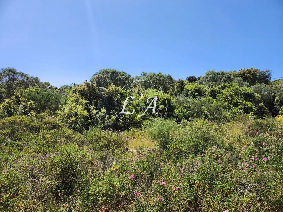 Tomt i Bonifacio, Corse-du-Sud - bilde 5