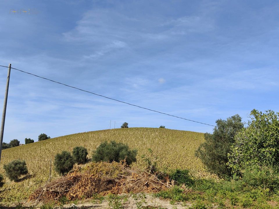 Helårsgrund i Acquaviva Picena, Ascoli Piceno - foto 4
