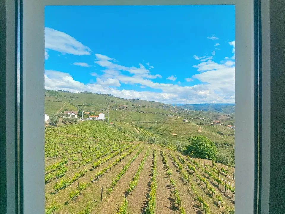 Farm hus i Santa Marta de Penaguiao, Vila Real - foto 1