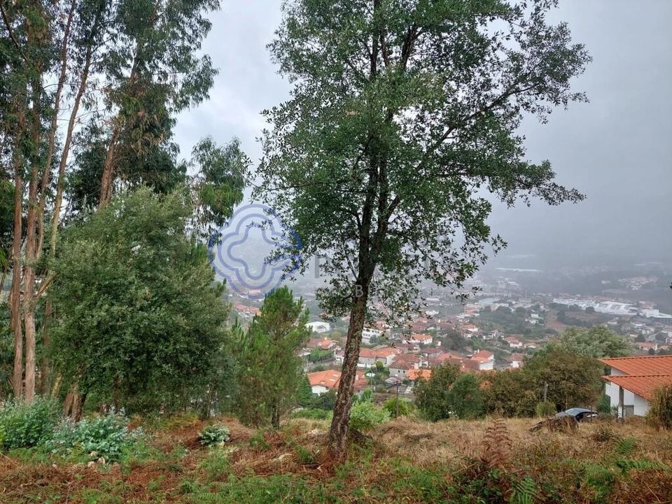 Tomt i Santo Tirso, Porto - bilde 2