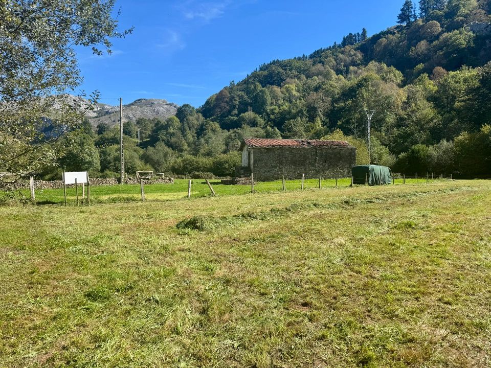Helårsgrund i La Pedrosa, Cantabria - foto 3