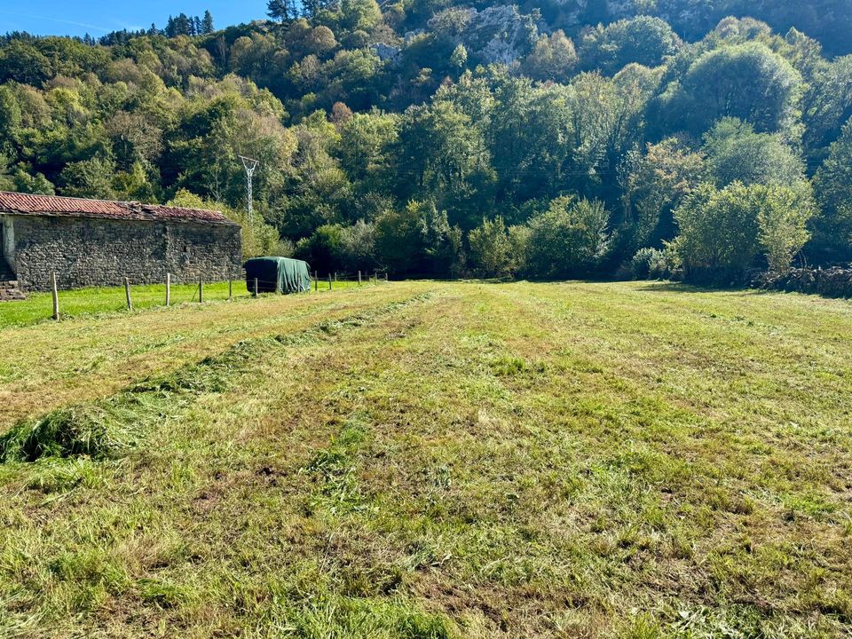 Helårsgrund i La Pedrosa, Cantabria - foto 5