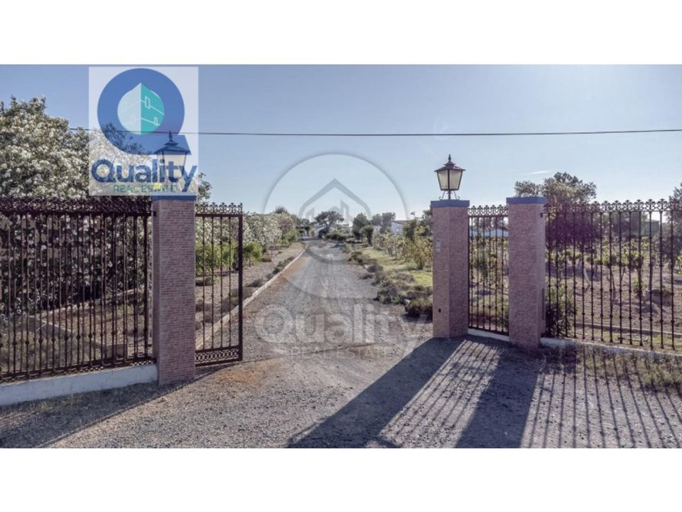 Farm i Ferreira do Alentejo, Beja - foto 2