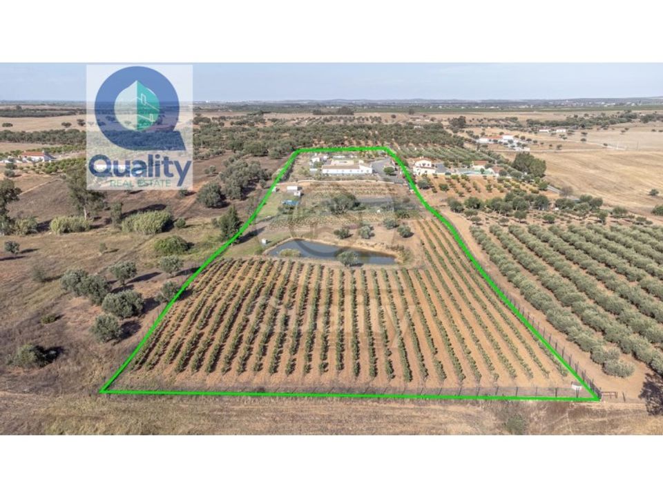 Farm i Ferreira do Alentejo, Beja - foto 3