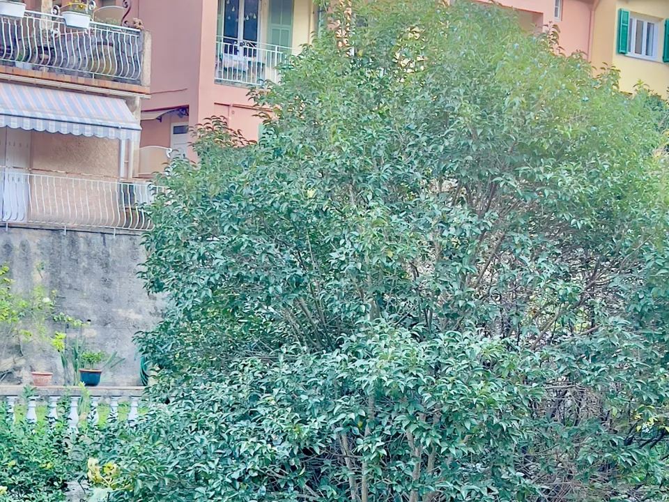 Lejlighed i Menton, Alpes-Maritimes - foto 5