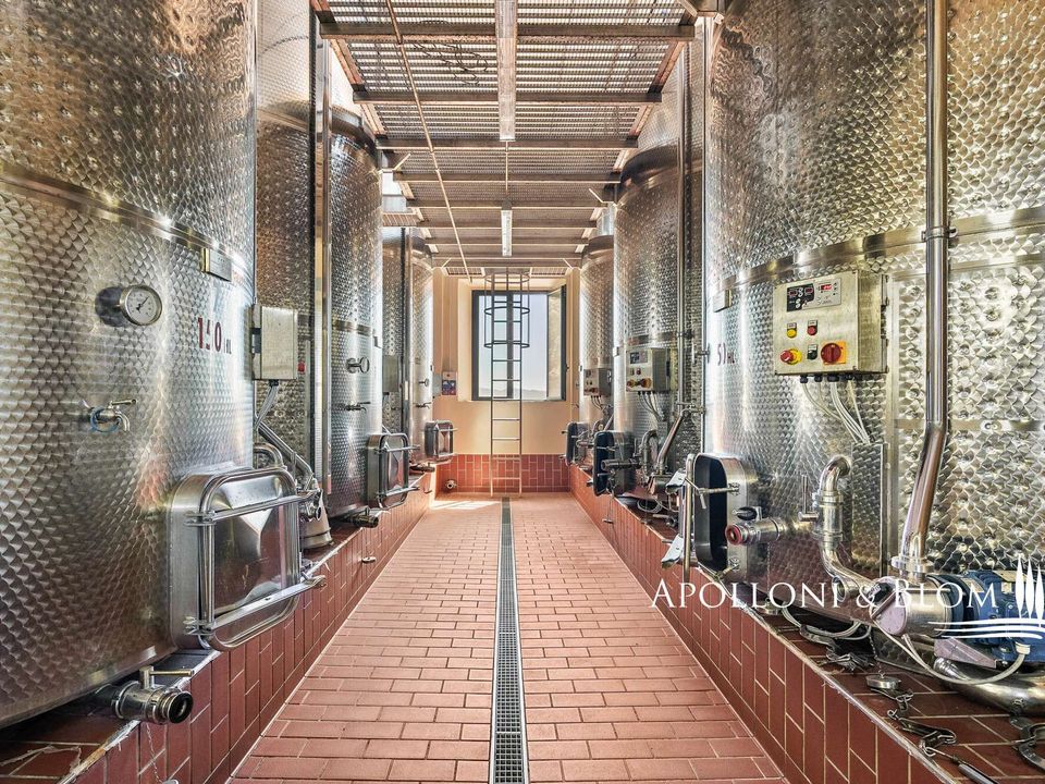 Landejendom i Castelnuovo Berardenga, Siena - foto 4