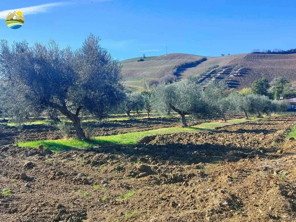 Helårsgrund i Pineto, Teramo - foto 2