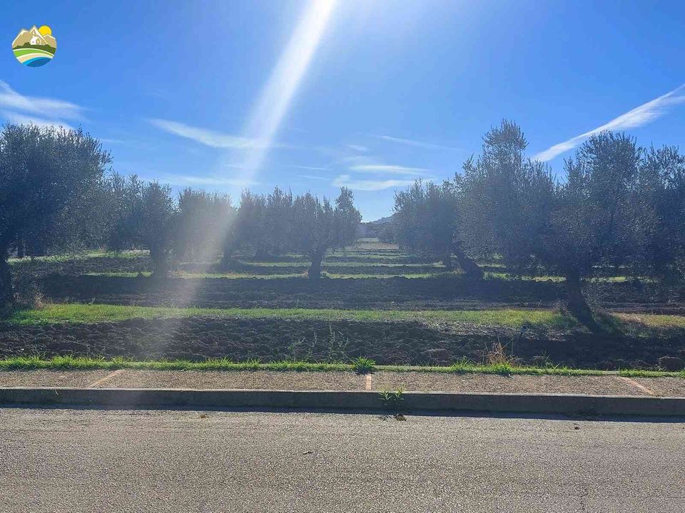 Helårsgrund i Pineto, Teramo - foto 4