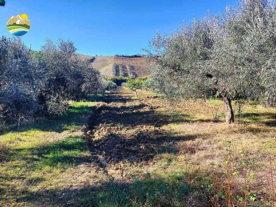 Helårsgrund i Pineto, Teramo - foto 2