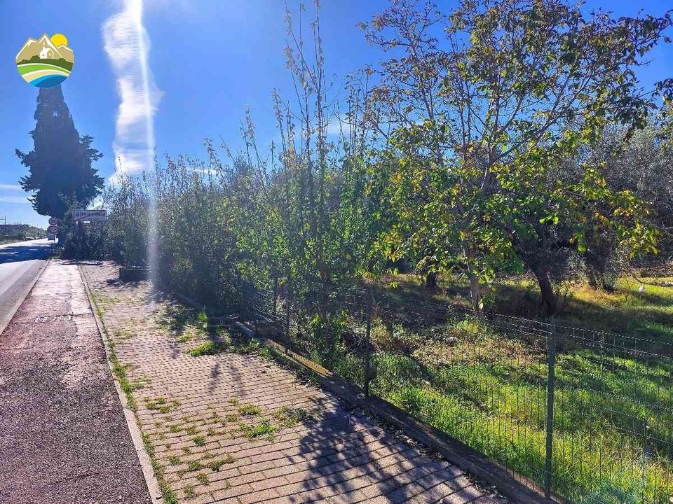 Helårsgrund i Pineto, Teramo - foto 3