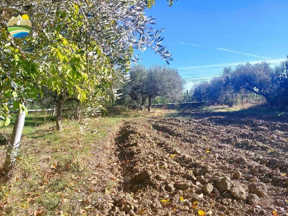 Helårsgrund i Pineto, Teramo - foto 4