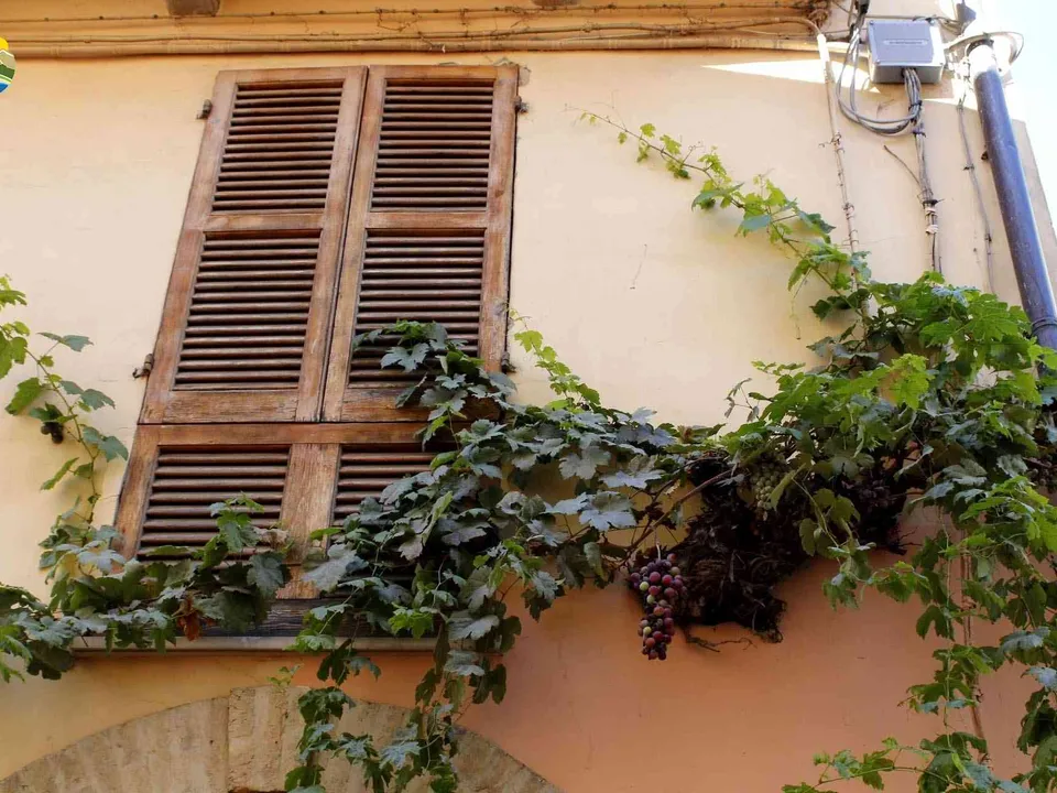 Villa i Atri, Teramo - foto 2