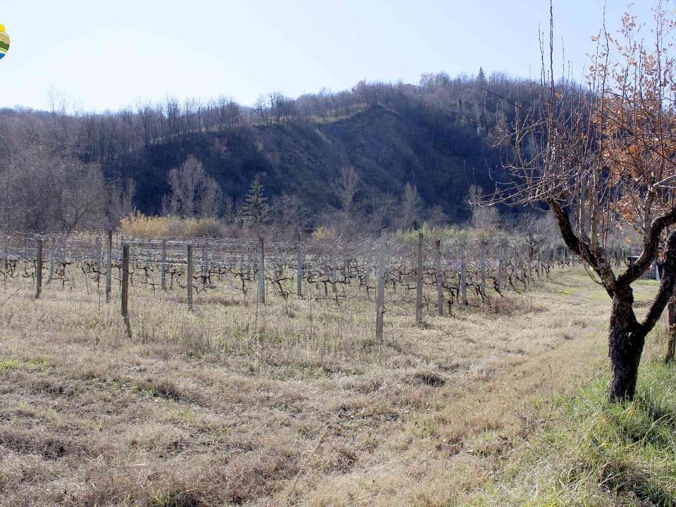 Villa i Bisenti, Teramo - foto 2