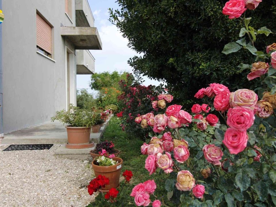 Villa i Castilenti, Teramo - foto 3