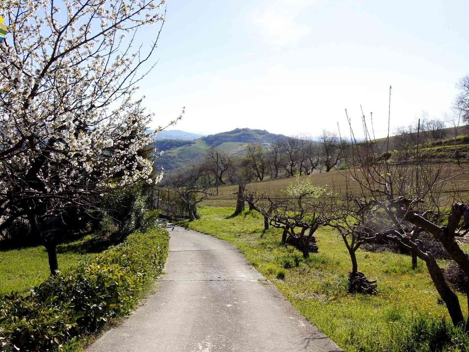 Villa i Castiglione Messer Raimondo, Teramo - foto 4