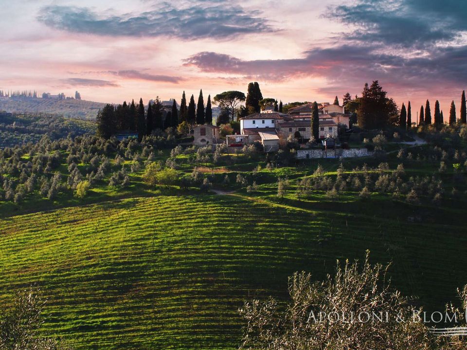 Villa i Scandicci, Florence - foto 1
