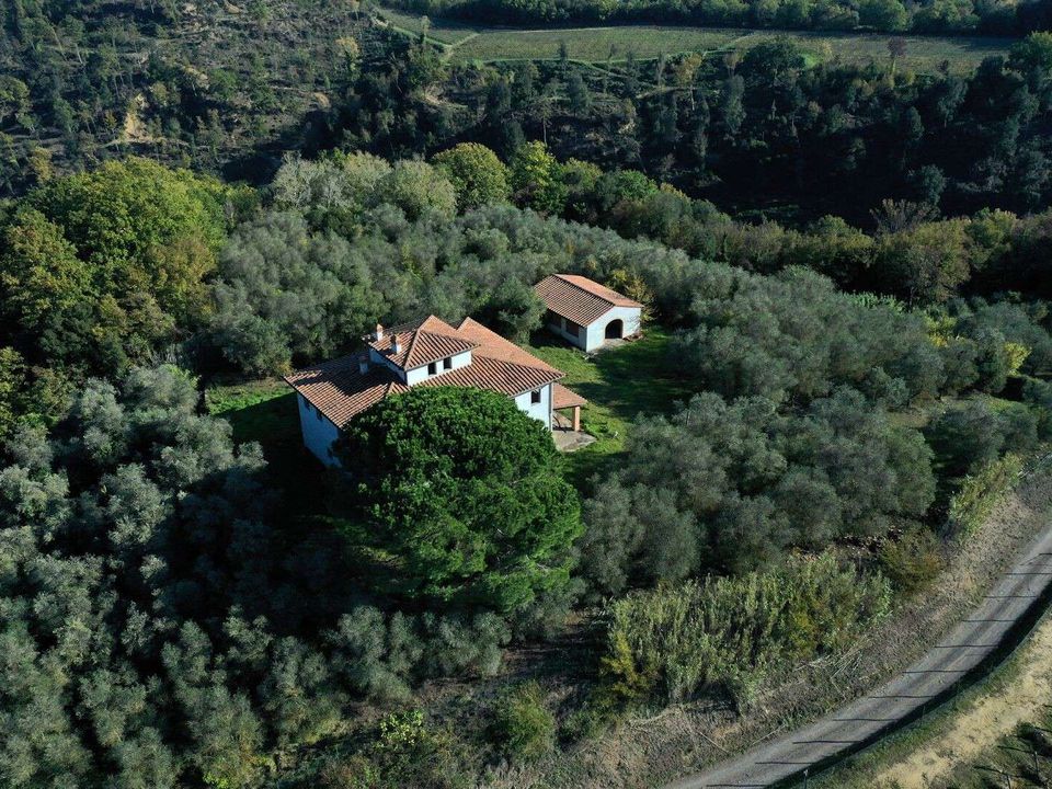 Villa i Palaia, Pisa - bilde 4