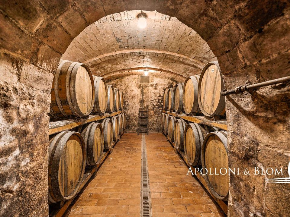 Villa i Monteriggioni, Siena - foto 2
