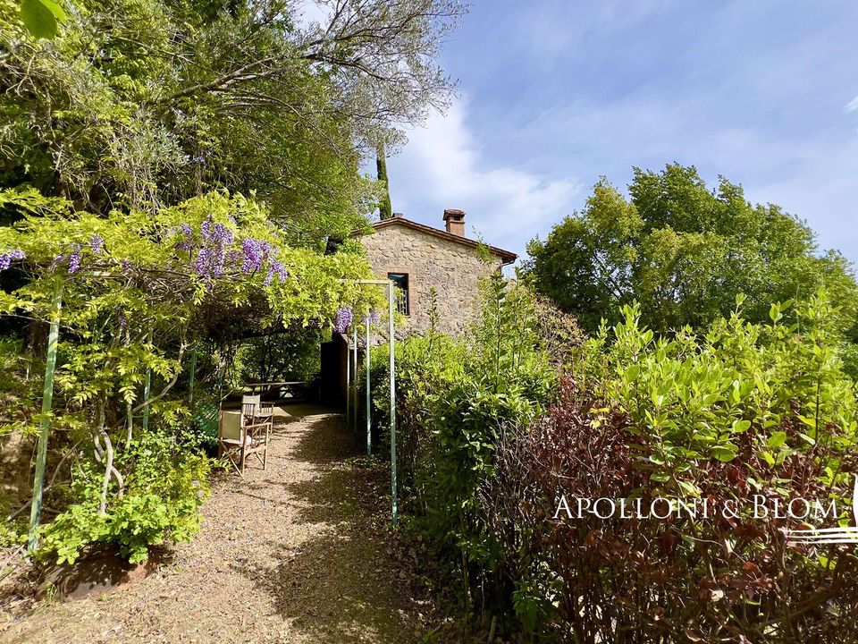 Byhus i Cetona, Siena - foto 3