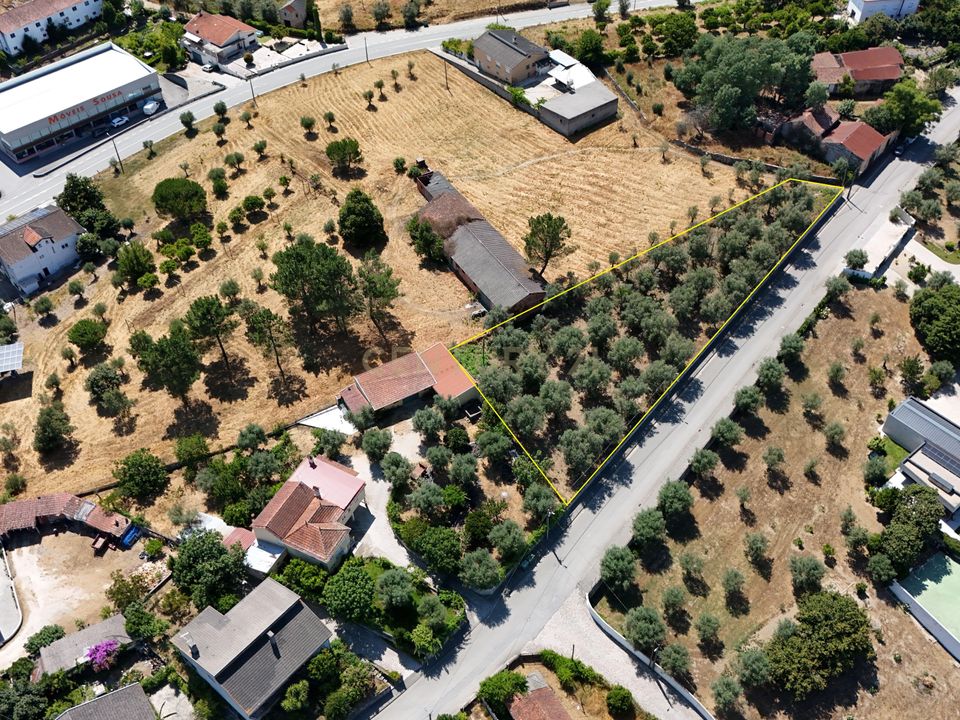 Terra a Nelas, Viseu - foto 1