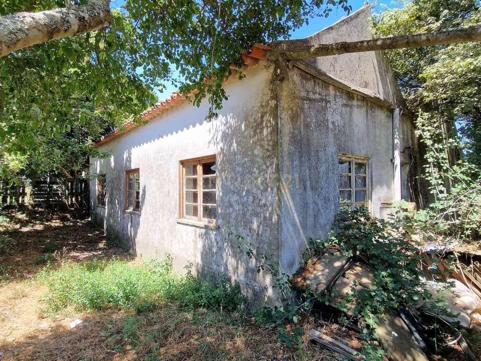 Farm hus i Nelas, Viseu - foto 3