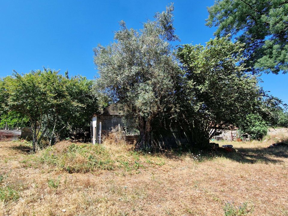 Farm hus i Nelas, Viseu - foto 4