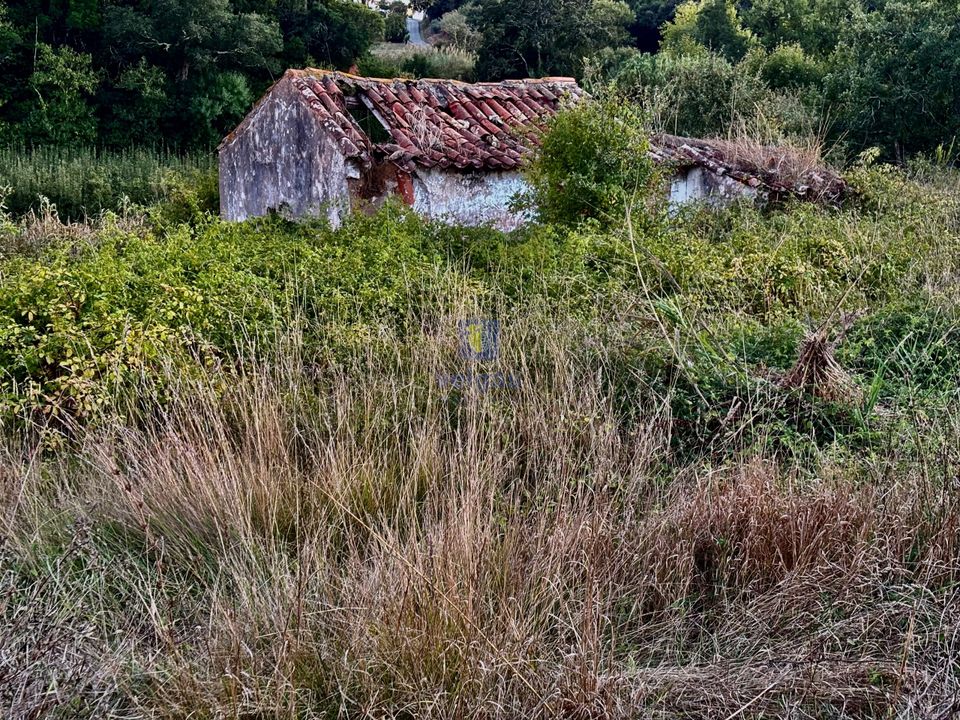 Villa i A Dos Negros, Leiria - foto 1