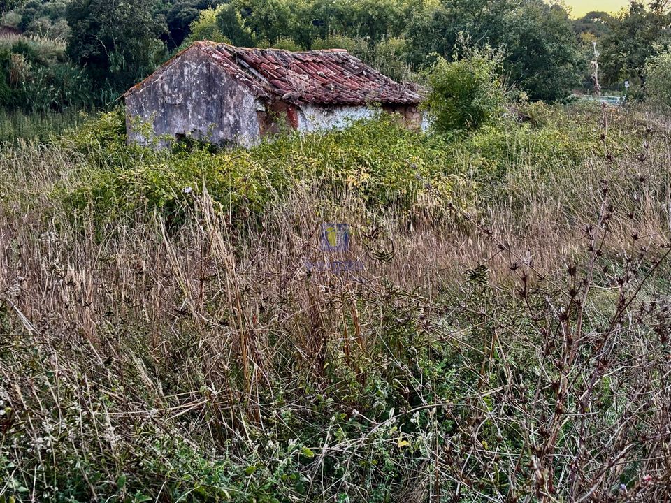 Villa i A Dos Negros, Leiria - foto 3