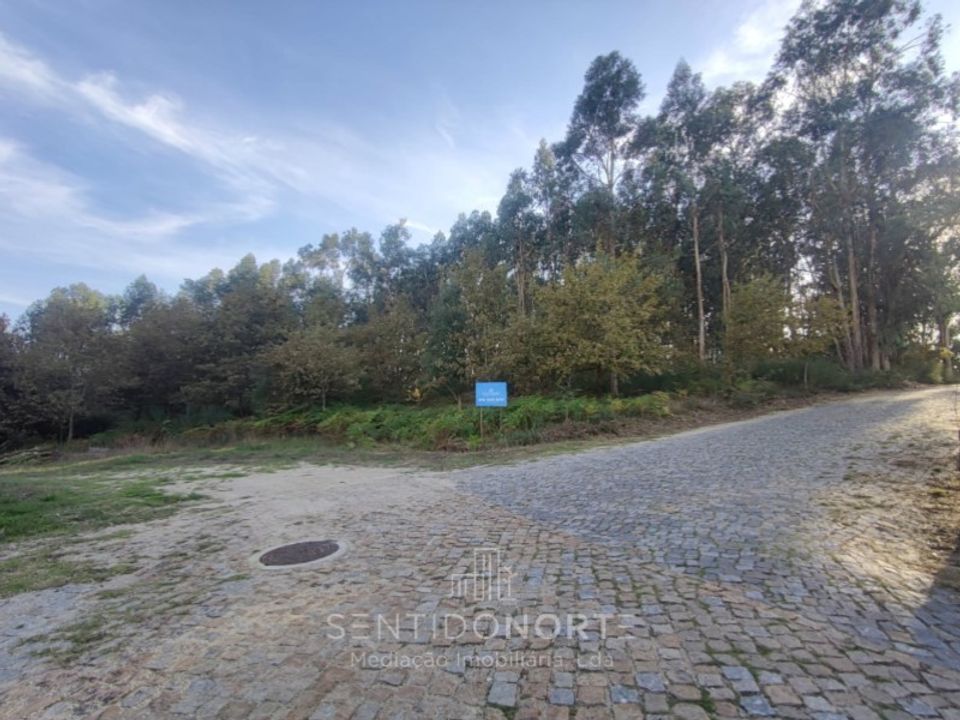 Helårsgrund i Serzedelo, Braga - foto 4