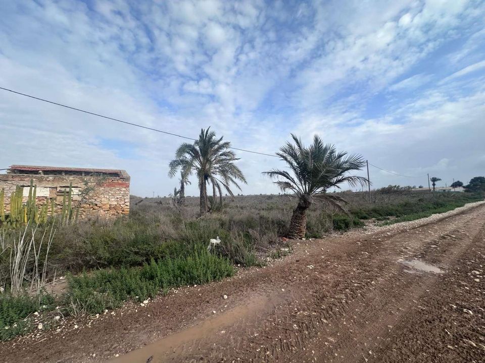Ruinere i Crevillent, Alicante - foto 1