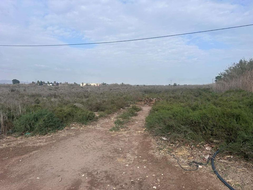 Ruinere i Crevillent, Alicante - foto 3