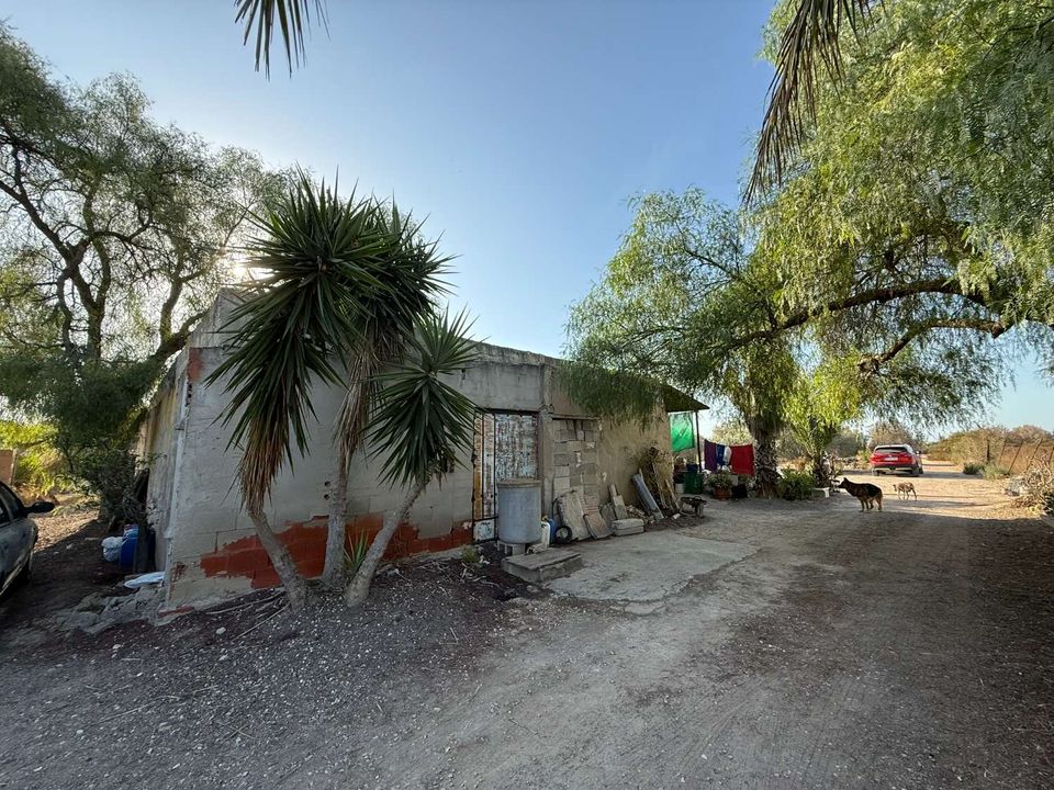 Finca i Elche, Alicante - foto 1
