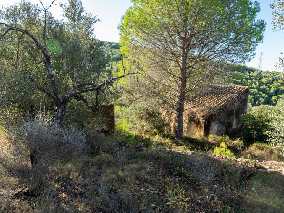 Finca i Tortosa, Tarragona - foto 2