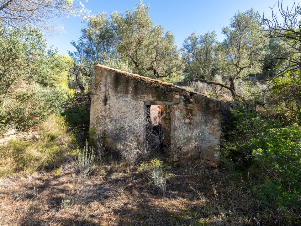 Finca i Tortosa, Tarragona - foto 5