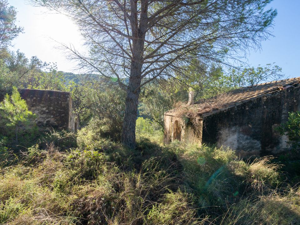 Finca i Tortosa, Tarragona - foto 3