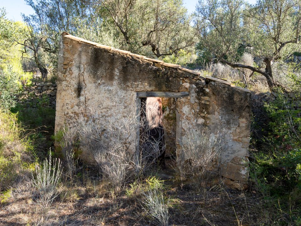 Finca i Tortosa, Tarragona - foto 4