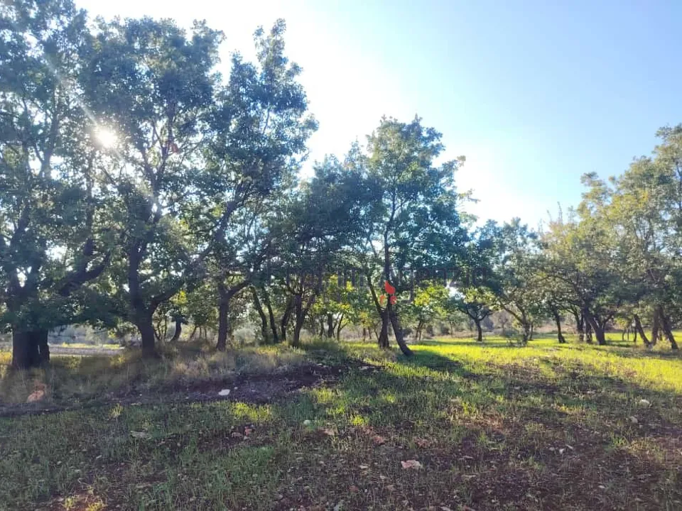 Helårsgrund i Ostuni, Brindisi - foto 3