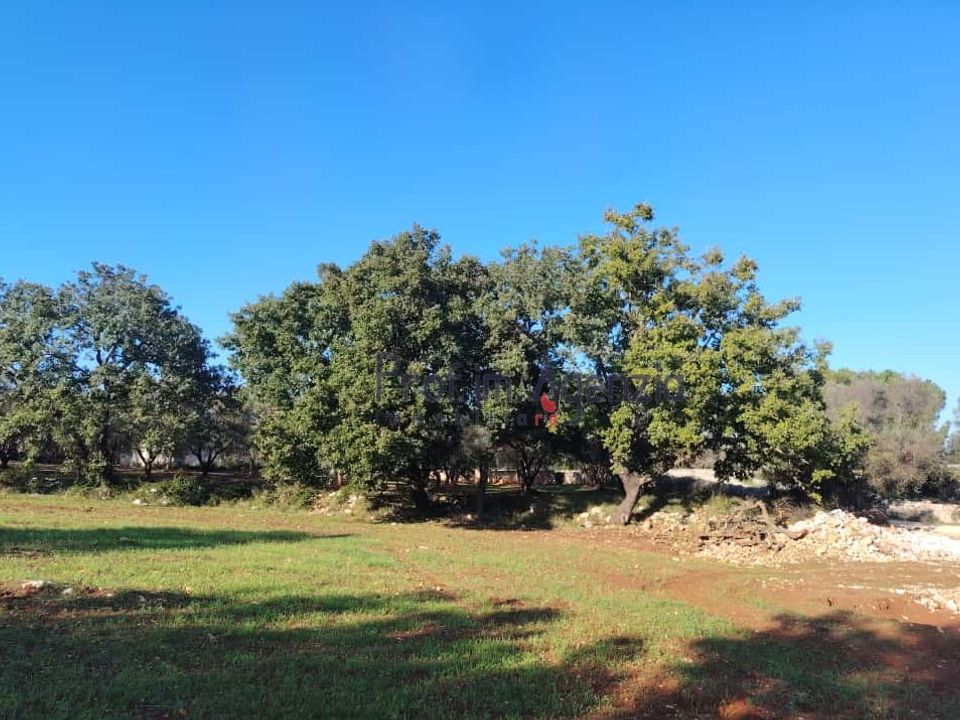 Helårsgrund i Ostuni, Brindisi - foto 1