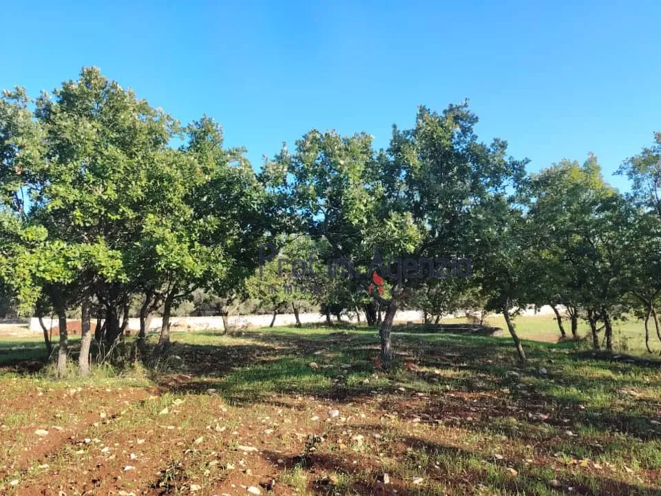 Helårsgrund i Ostuni, Brindisi - foto 2