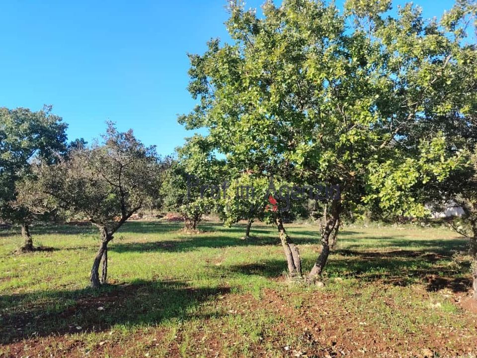 Helårsgrund i Ostuni, Brindisi - foto 4
