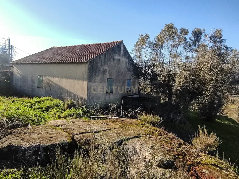 Farm hus i Boidobra, Castelo Branco - foto 3