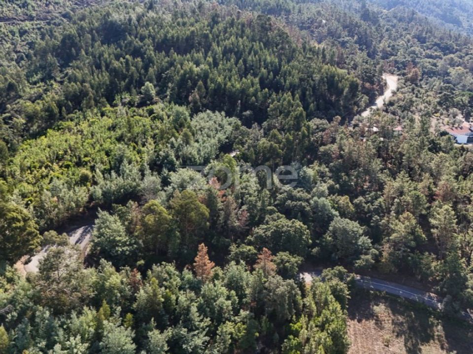 Terra a Folques, Coimbra - foto 3