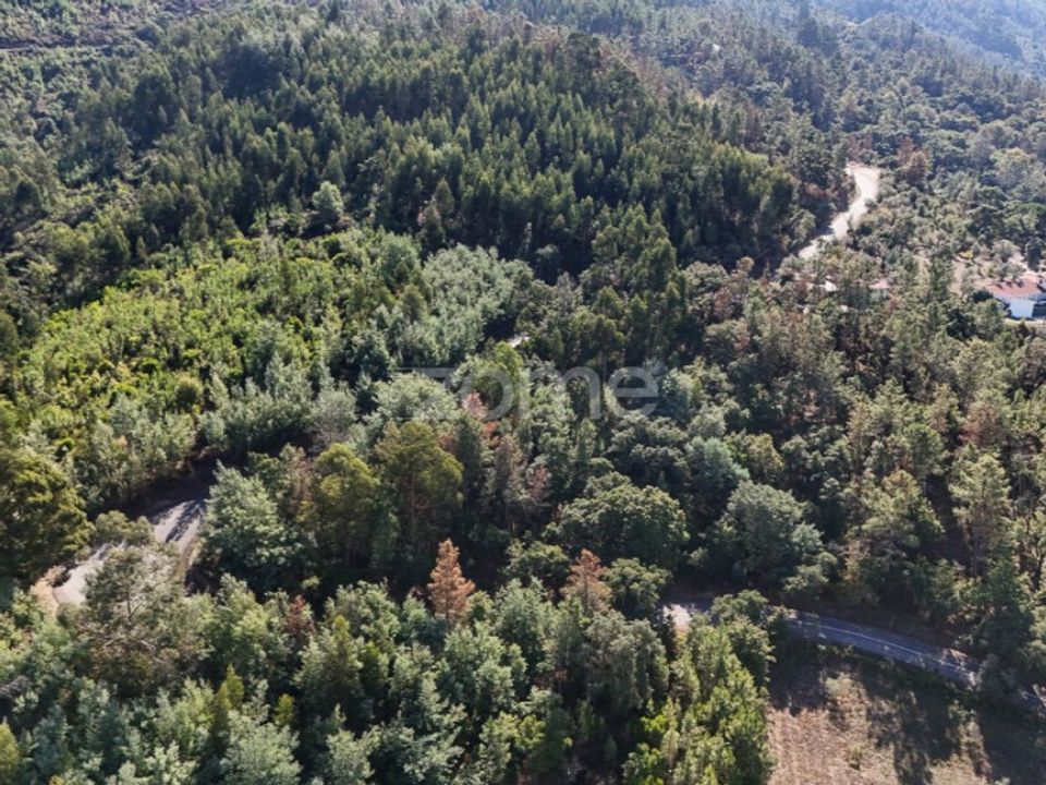 Grond in Folques, Coimbra - foto 4